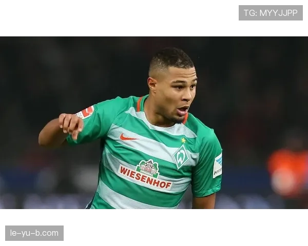 雷亚莱再创佳绩：不败神话持续，球队状态火热引关注